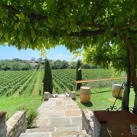 Villa Butussi - L'Ospitalita Del Vino Corno di Rosazzo Экстерьер фото