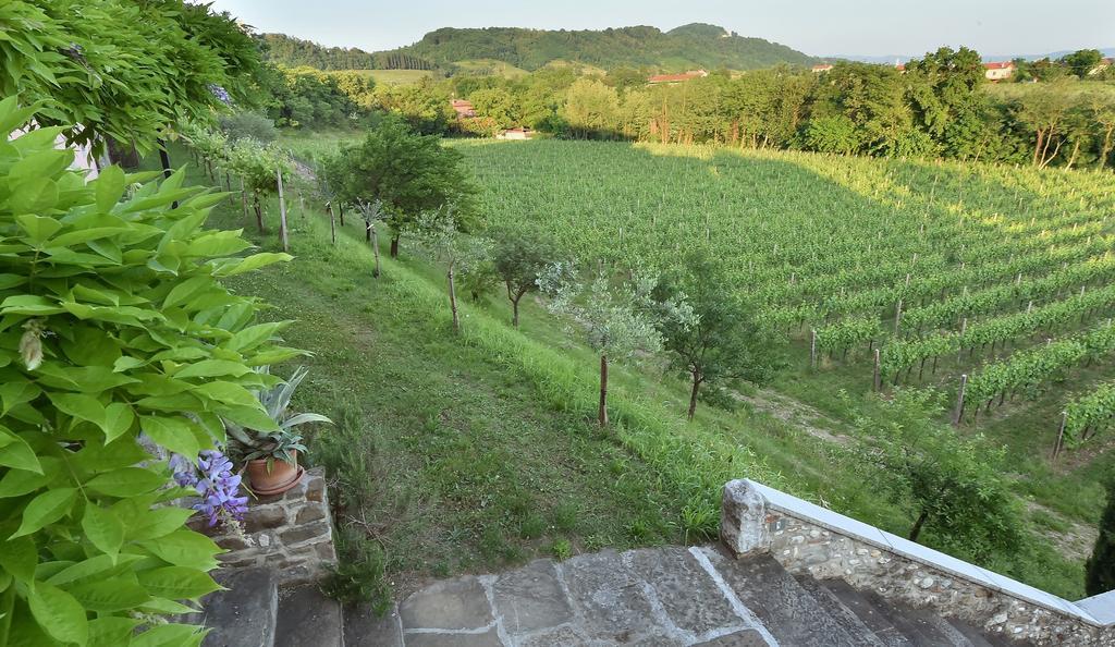 Villa Butussi - L'Ospitalita Del Vino Corno di Rosazzo Экстерьер фото