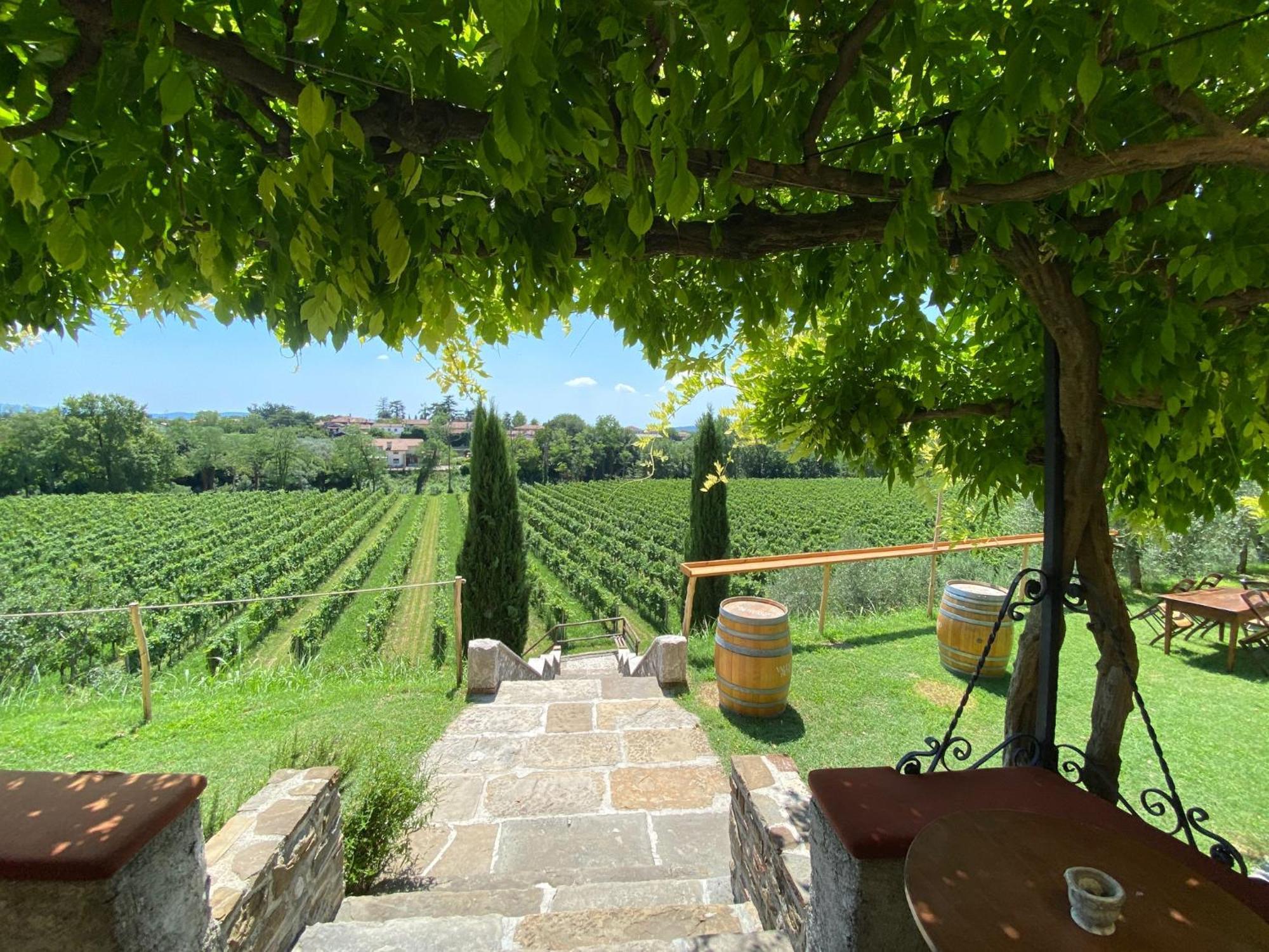 Villa Butussi - L'Ospitalita Del Vino Corno di Rosazzo Экстерьер фото