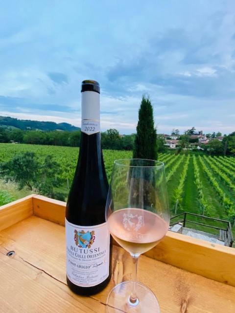 Villa Butussi - L'Ospitalita Del Vino Corno di Rosazzo Экстерьер фото