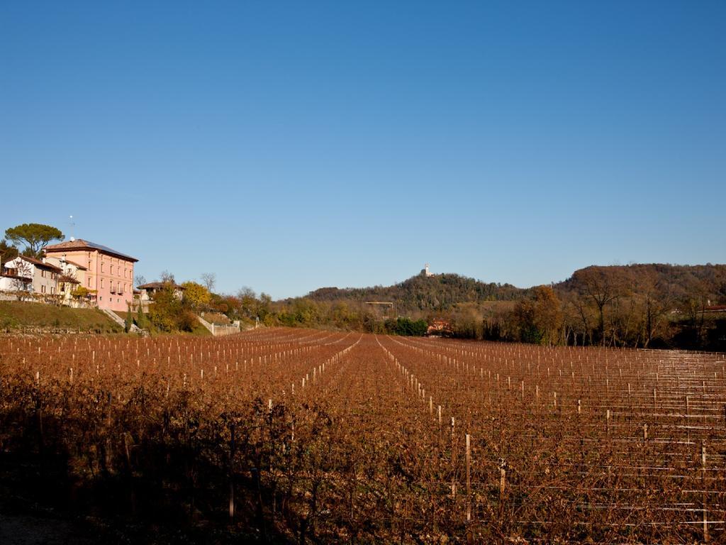 Villa Butussi - L'Ospitalita Del Vino Corno di Rosazzo Экстерьер фото